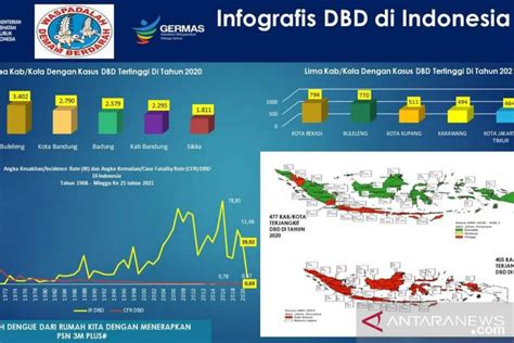 Kemenkes Jelaskan Lima Daerah Duduki Angka Kasus Dbd Tertinggi