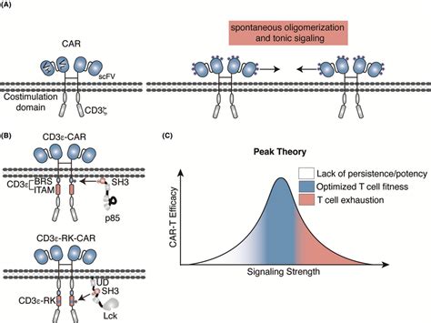 Synthetic Immune Receptors Harnessing Electrostatic Interactions For