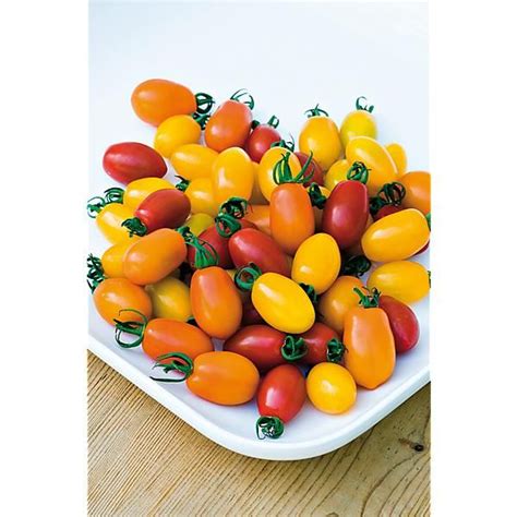 Tomate F Supersweet Graines Baumaux