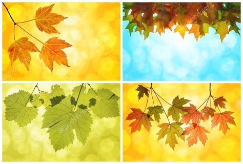 Fall Autumn Leaves Collage — Stock Photo © jpldesigns #28907101