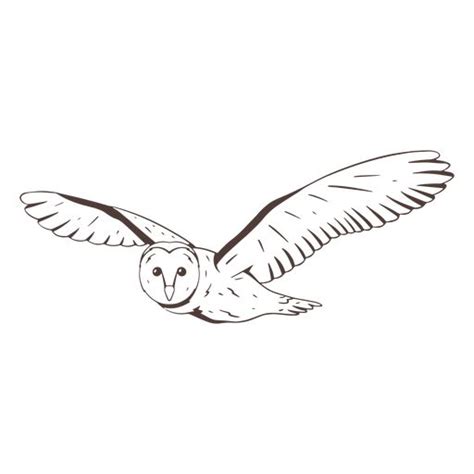 Flying Barn Owl Hand Drawn AD Barn Flying Hand Drawn Owl