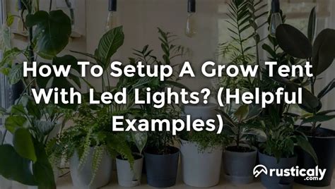 How To Setup A Grow Tent With Led Lights? (Check This First)