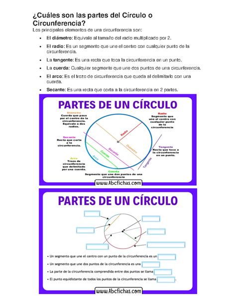 Cuáles Son Las Partes Del Círculo O Circunferencia ¿cuáles Son Las