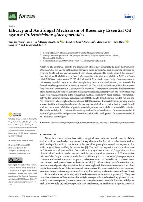 PDF Efficacy And Antifungal Mechanism Of Rosemary Essential Oil