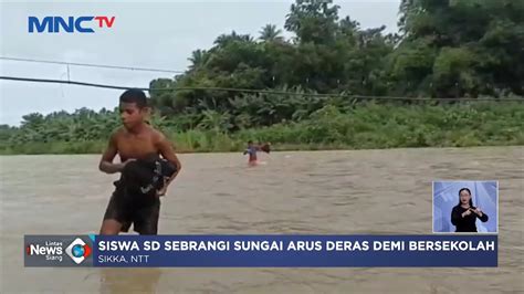 Tak Ada Jembatan Siswa SD Di NTT Seberangi Sungai Arus Deras Demi