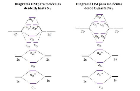 Teoría del orbital molecular explicación enlaces orbitales y ejemplos