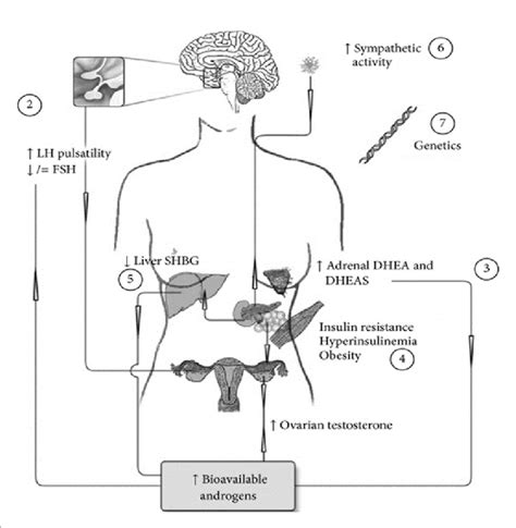 Complications of PCOS | Download Scientific Diagram