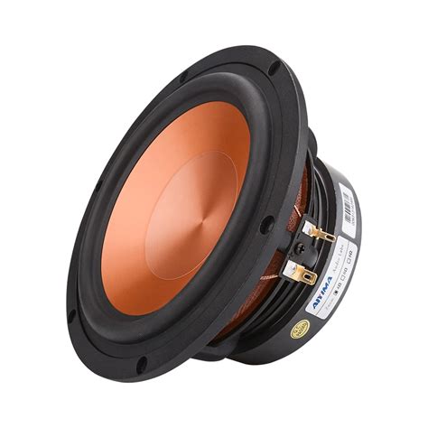 Aiyima Haut Parleur Hifi De 6 5 Pouces 100w Haut Parleur De Gamme