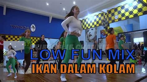 Aerobic Musik Terbaru Low Fun Mix Ikan Dalam Kolam YouTube