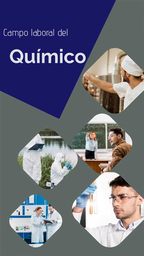 Campo Laboral Licenciatura En Química