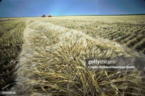 219 Red River Valley North Dakota Stock Photos, High-Res Pictures, and ...