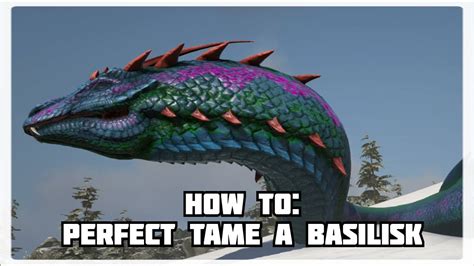 How To Tame A Basilisk With Perfect Effectiveness YouTube