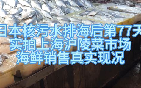 日本核污水排海后第77天实拍上海沪陵菜市场海鲜销售真实现况 哔哩哔哩