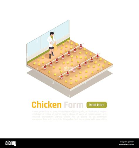 Broiler Poultry Stock Production Isometric Composition With Modern