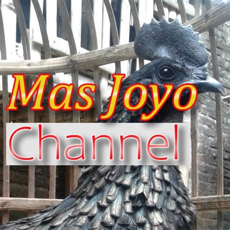 Mas Joyo Channel Youtube