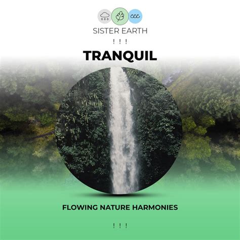 Flowing Tranquil Nature Harmonies Album By Rainforest Sounds