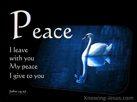 John 14 27 Peace I Leave With You White