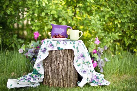 Las Tareas De Julio Nuevos Jardines Jardiner A Lugo A Coru A