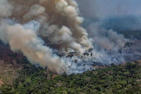 Récord Trágico De Incendios En La Amazonía Brasileña