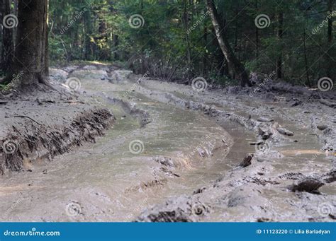 The road full of mud stock photo. Image of rural, caterpillar - 11123220