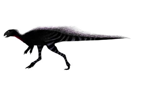 Nanosaurus | Exploring the Late Jurassic “Dwarf Lizard”