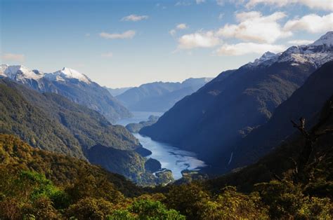 A Guide To The Stunning New Zealand Fjords | Celebrity Cruises