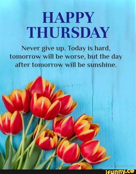 Good Morning Everyone 🙋🏽‍♀️ Have A Great Thursday Morning 🙋🏽‍♀️👑🌹 Happy Thursday Never