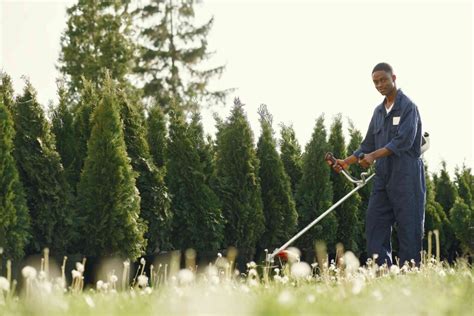 How To Start Lawn Care Business