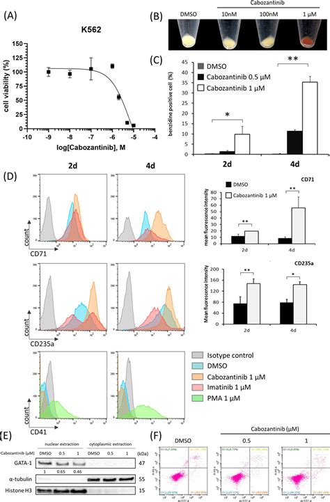 Cabozantinib Inhibited K562 Cell Proliferation And Induced