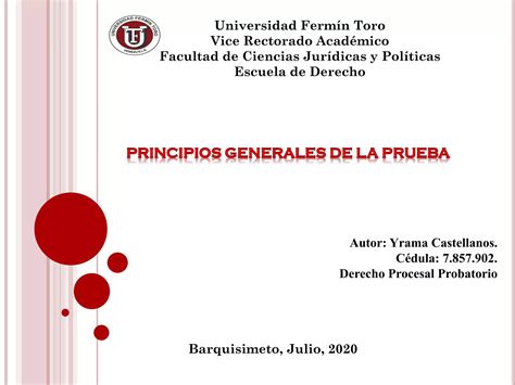 Principios Generales De La Prueba PPT