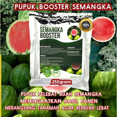 Jual Pupuk Organik Pelebat Booster Semangka Perangsang Buah Semangka