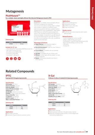 Dna Cloning Pdf