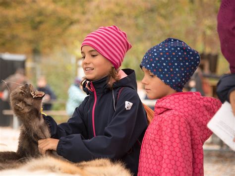 Unsere Infomobile Be Greifen F R Gross Und Klein Tierpark Bern