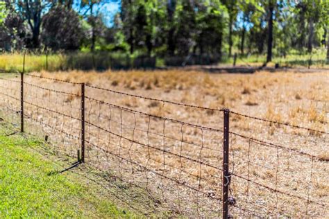 star pickets australian steel traders