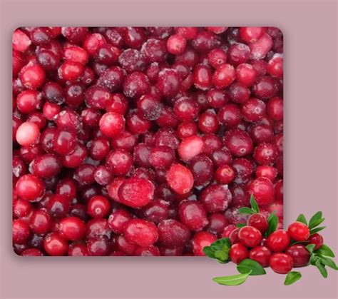 Kg Frozen Cranberries Packaging Type Packet At Kg In Jamnagar