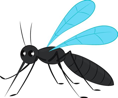 Mosquito Clipart Images | Free Download | PNG Transparent - Clip Art ...