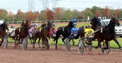 Hippodrome de Cordemais Rendez vous le 20 janvier pour la première