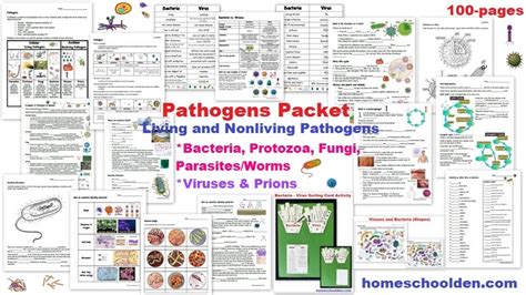 Fungi Bacteria And Worms Are All Examples Of