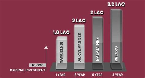 Multibagger Stock Advisory Multibagger Advisory Services