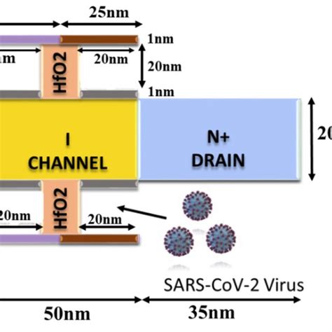 Detection Of Sars Cov 2 Using Dielectric Modulated Tfet Based Biosensor