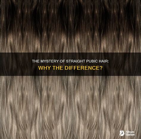 The Mystery Of Straight Pubic Hair: Why The Difference? | ShunSalon