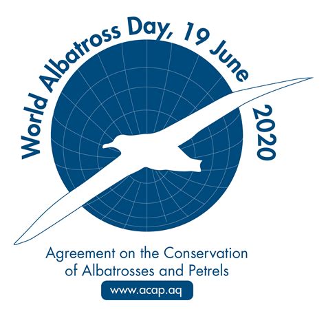 World Albatross Day Logo Pacific Beach Coalition