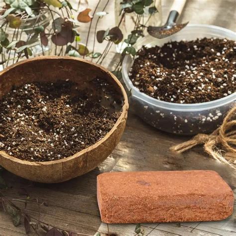 Coco Coir Bricks For Plants – Ezzy Cool Gifts