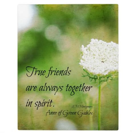 Kindred Spirits Quotes. QuotesGram