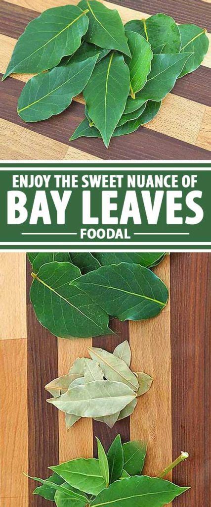 How To Use Bay Leaves In Cooking For A Sweet Woodsy Flavor Foodal