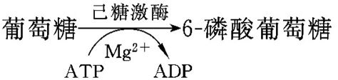 糖在体内的代谢概况生物化学挂云帆