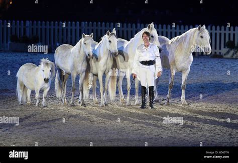 Jean Francois Pignon from France performs with his horses in the Diamond Jubilee Pageant at ...