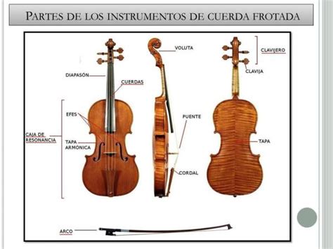 Lista De Los Instrumentos De Cuerda Frotada Con