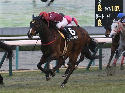 【jra・win5】2021年最後のwin5は的中149票、配当468万3350円 2021年12月28日掲載 ライブドアニュース