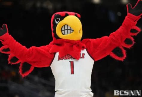 Louisville Mens Basketball Unveils The Cardinals 2024 25 Non